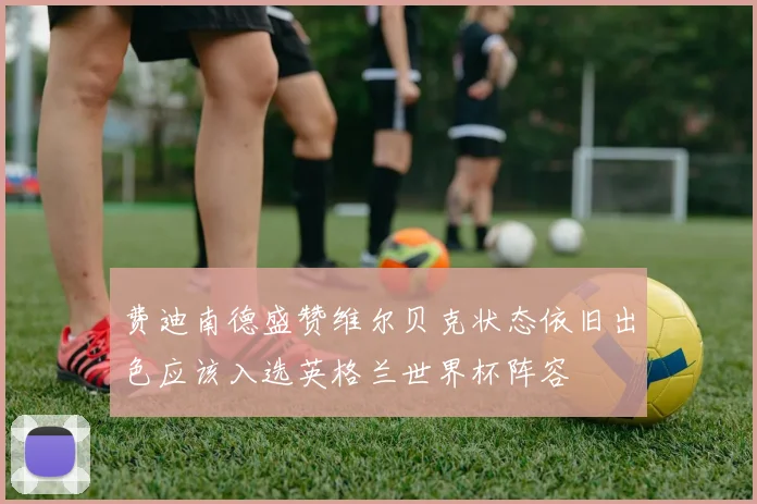 费迪南德盛赞维尔贝克状态依旧出色应该入选英格兰世界杯阵容