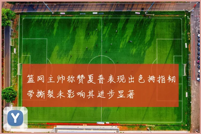 篮网主帅称赞夏普表现出色拇指韧带撕裂未影响其进步显著